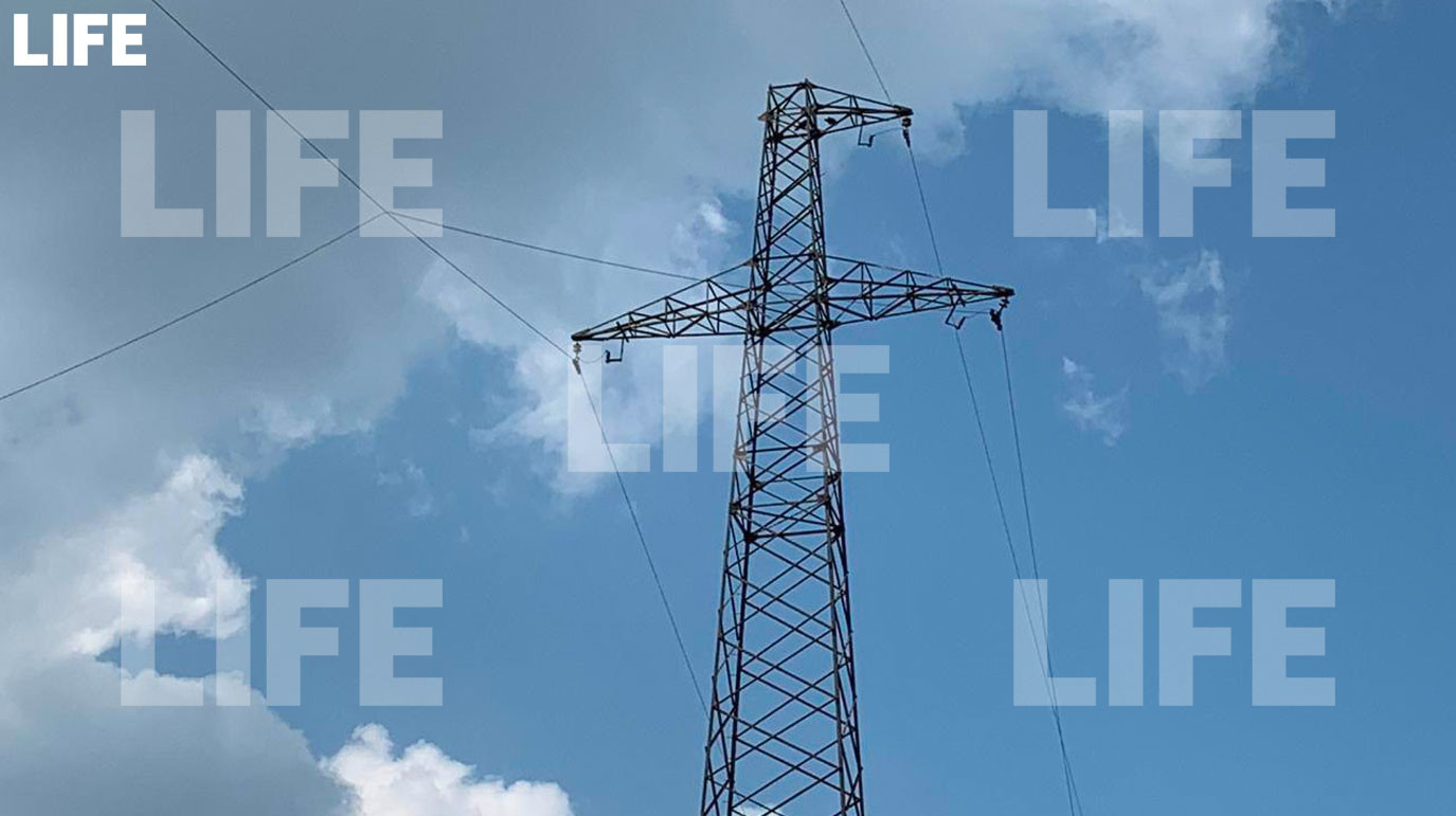 Фото © LIFE