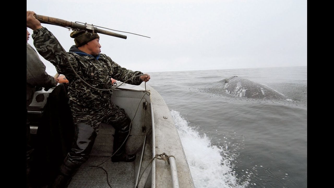 Охота на кита, Чукотка. © Скриншот видео YouTube / MENS TV