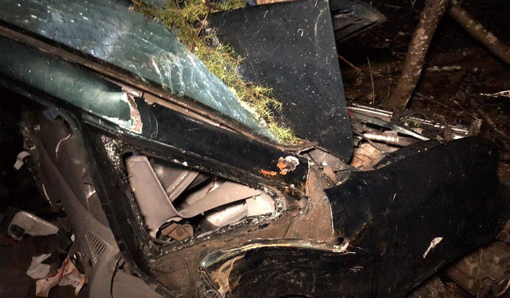 Фото © ГУ МВД России по Псковской области