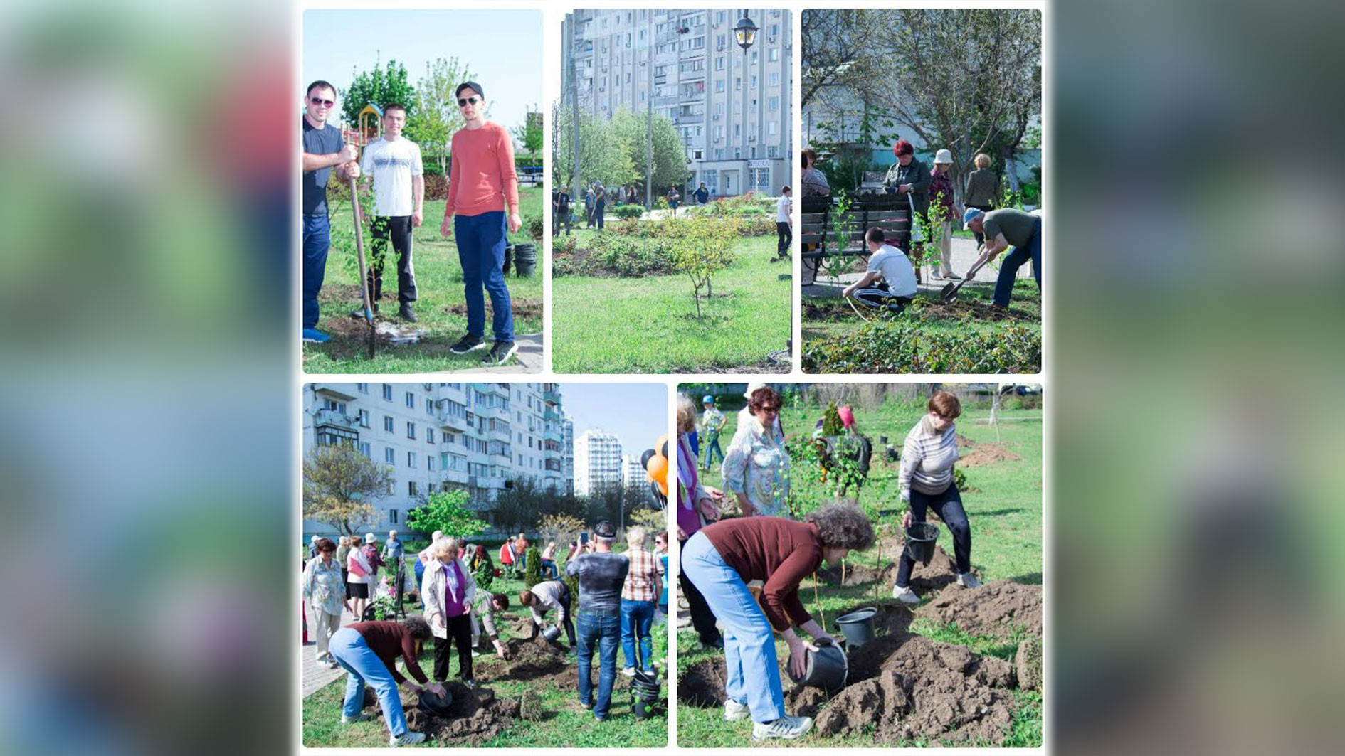 Фото: соцсети