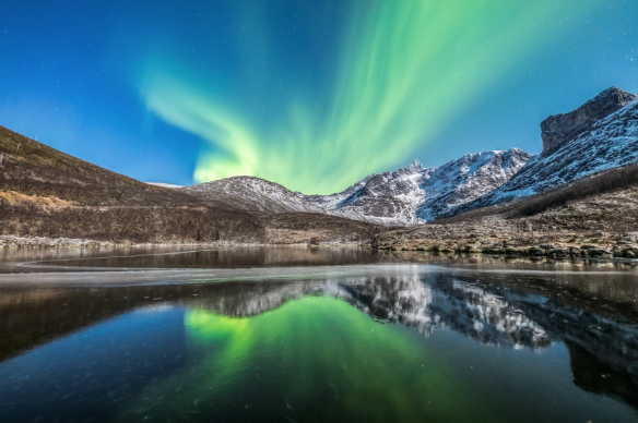 Фото © Instagram/greenlander_tromso