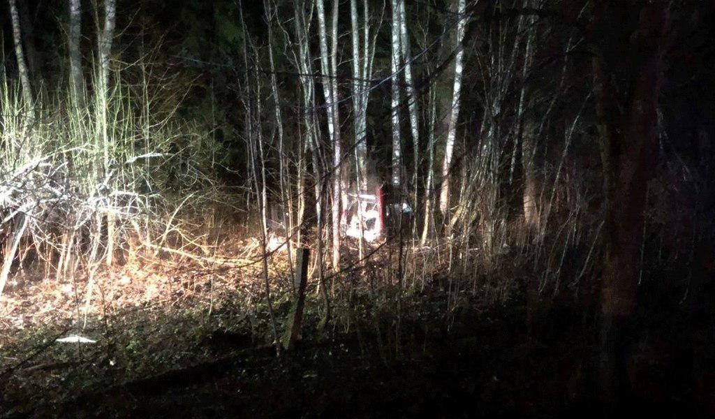 Фото © ГУ МВД России по Псковской области