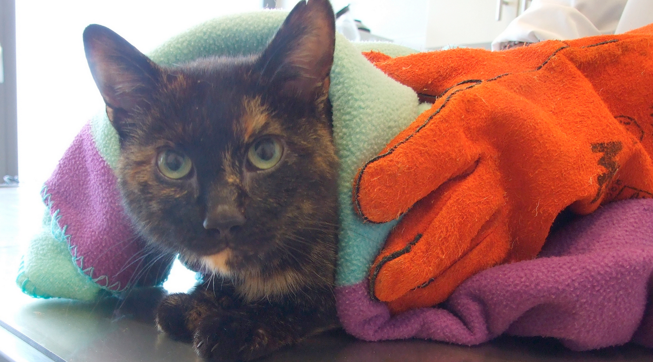 Фото издания noen.at