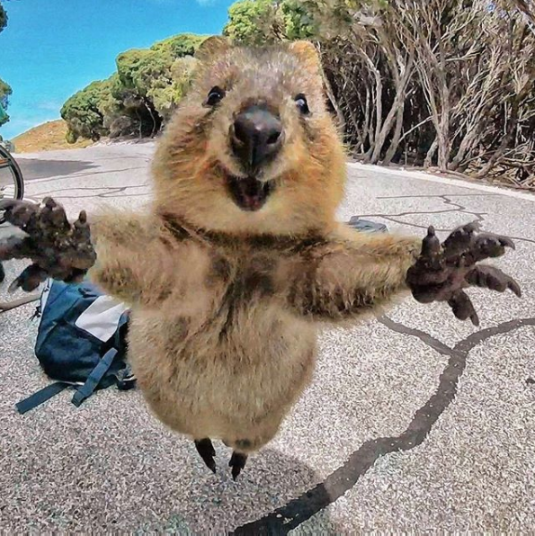 Фото © Instagram/ daxon