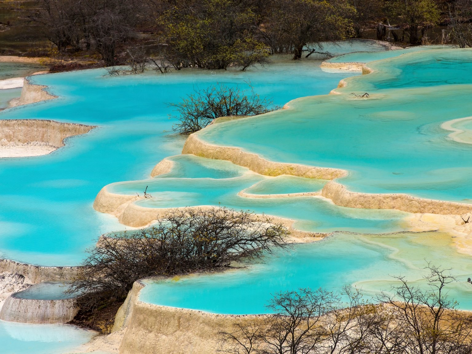 Фото: © Tawatchaiwanasri / Shutterstock