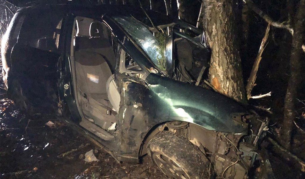 Фото © ГУ МВД России по Псковской области