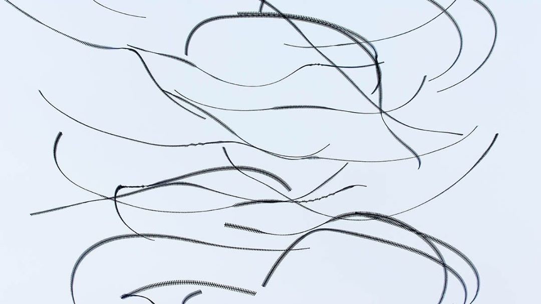 Фото © Instagram/xavibou