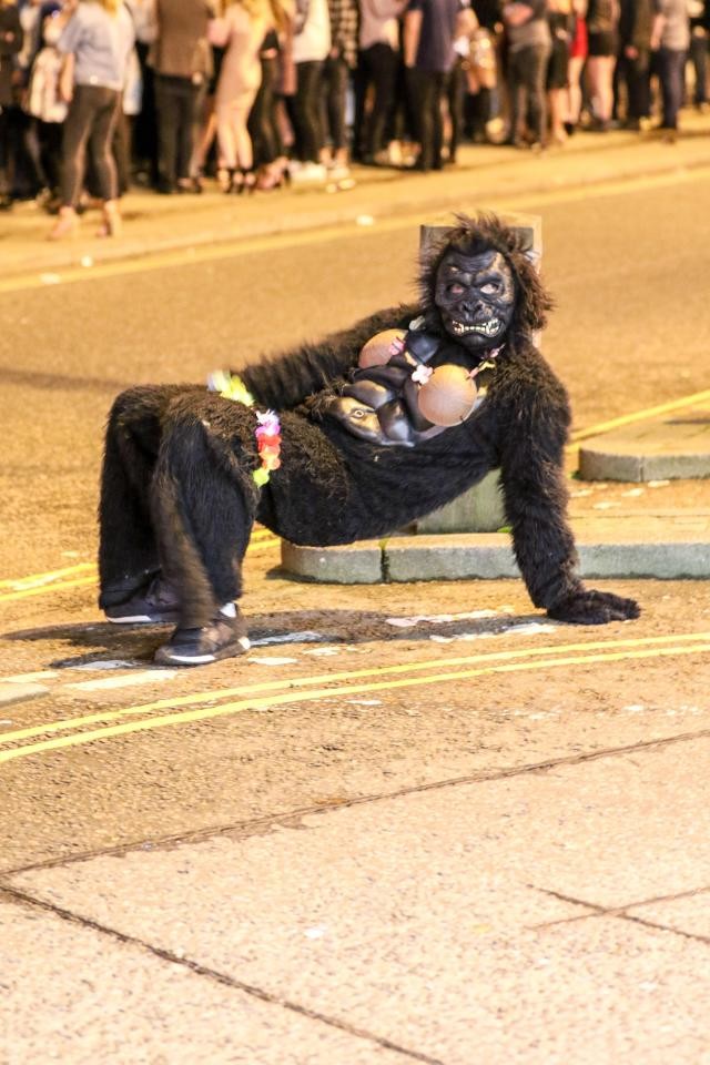Фото ©ASP/ Губернатор английского города приветствует жителей в костюме гориллы.