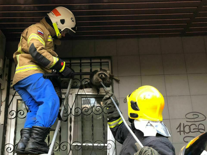 Фото © Пресс-служба Департамента по делам гражданской обороны, чрезвычайным ситуациям и пожарной безопасности Москвы