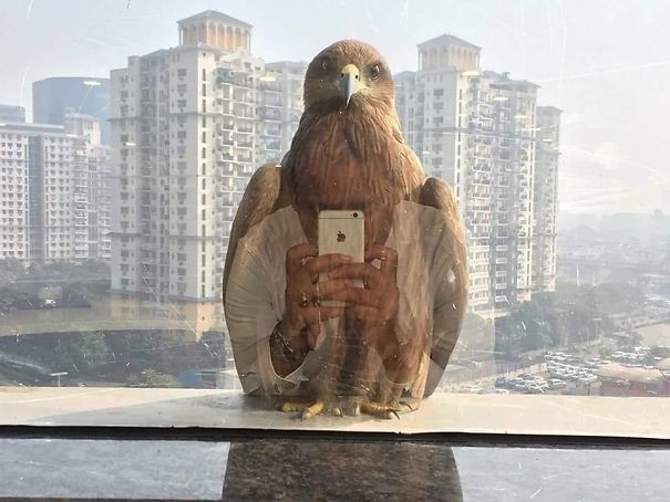 Фото © boredpanda.com