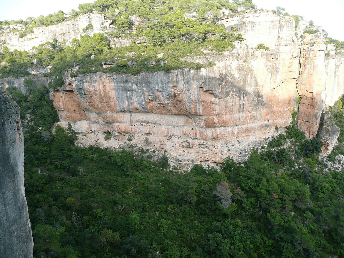 wikimedia.org