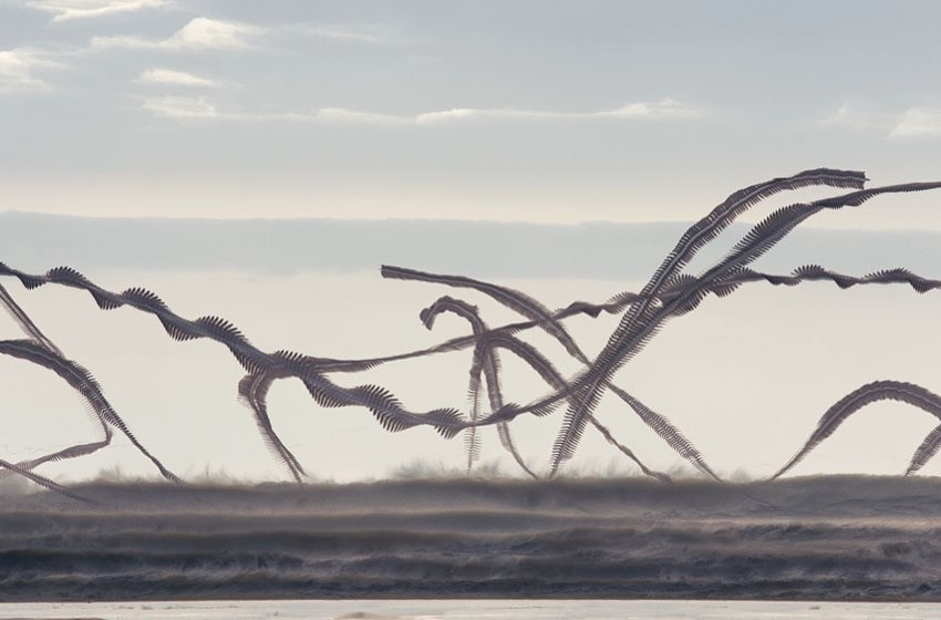 Фото © Instagram/xavibou