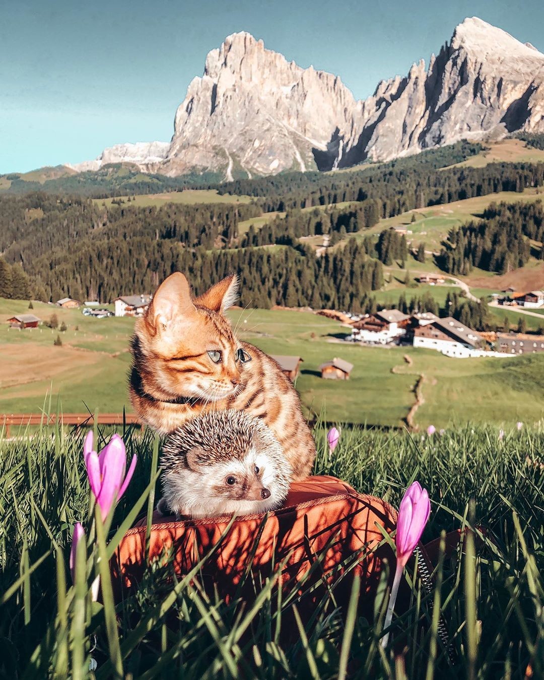 Фото © Instagram/mr.pokee