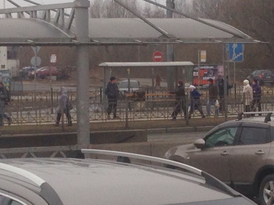 Фото: © vk.com / ДТП и ЧП | Санкт-Петербург | Питер Онлайн | СПб (Илья Николаевич)