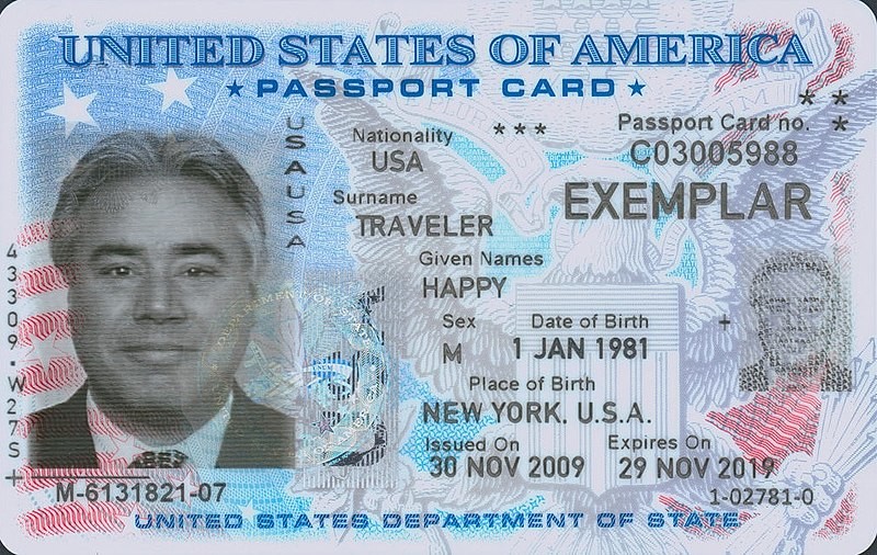 Виртуальное гражданство. Каким будет российский электронный паспорт