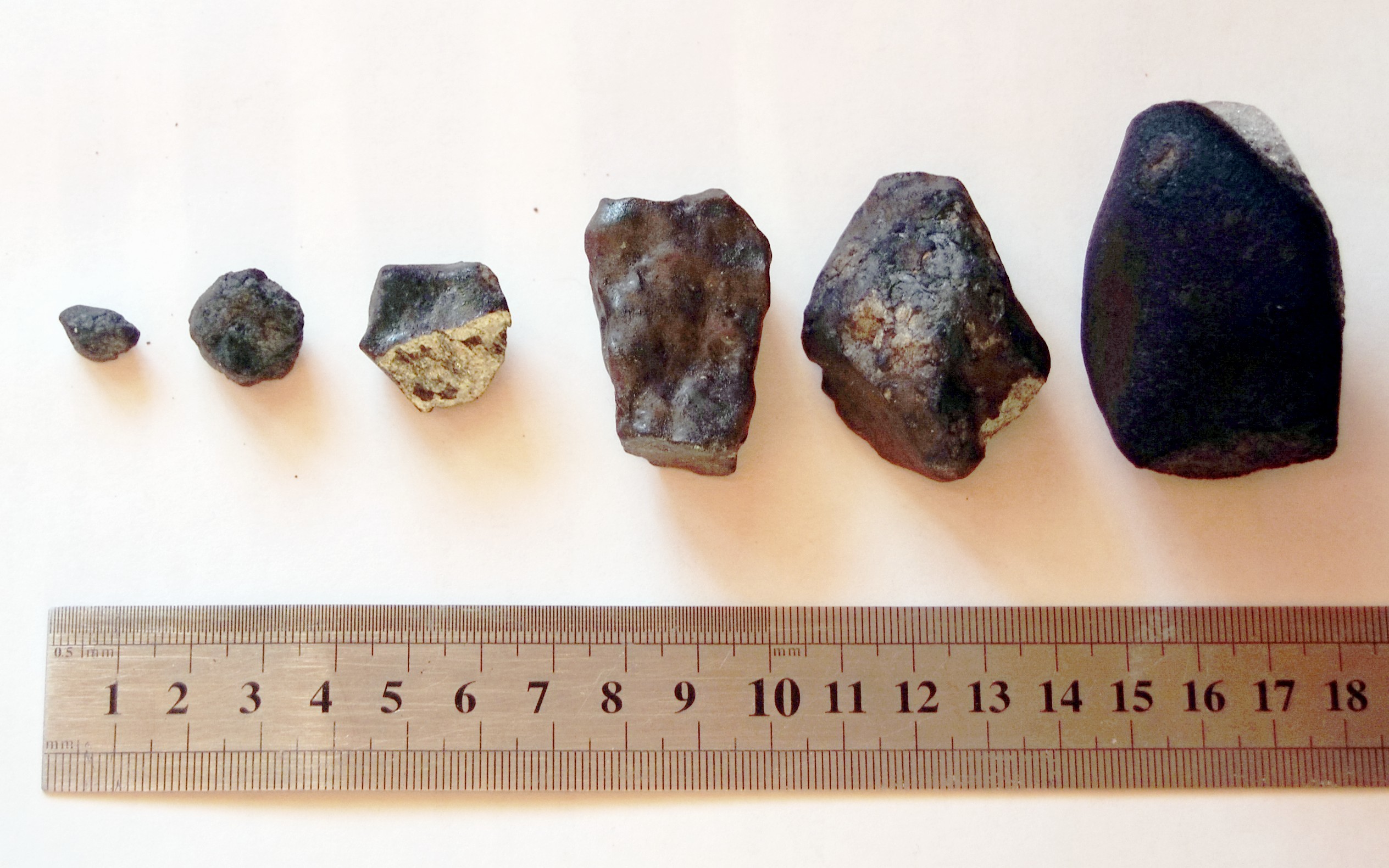 Осколки метеорита, найденные 23 февраля в Еткульском районе экспедицией Челябинского государственного университета. Фото: © wikipedia