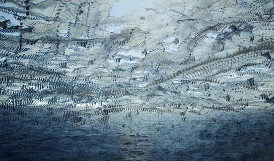 Фото © Instagram/xavibou