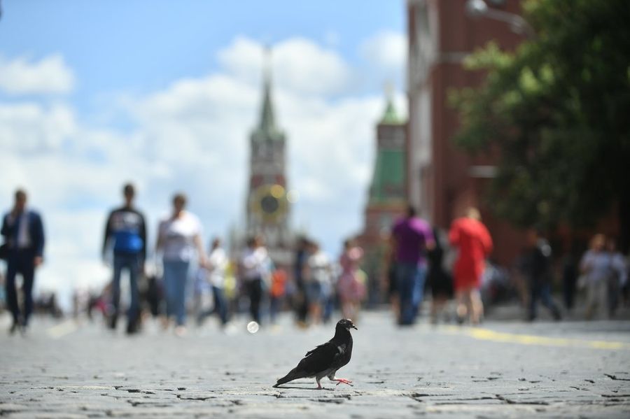 Фото © Агентство городских новостей "Москва" / Сергей Киселёв 