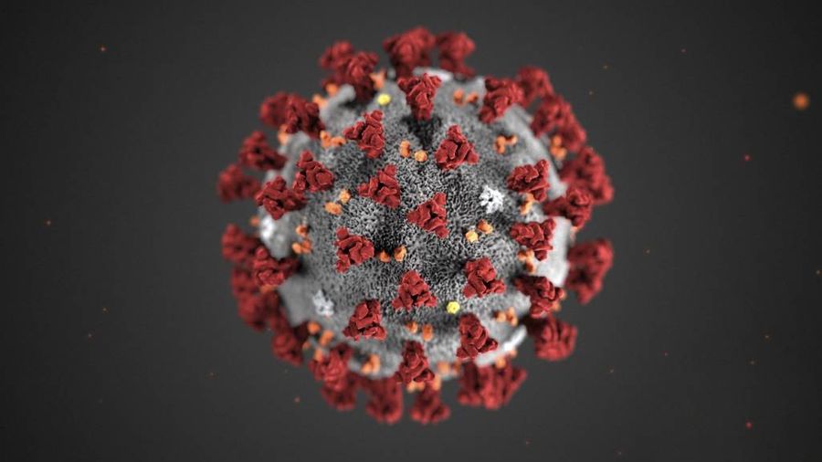 Цветное увеличенное изображение коронавируса. Фото © ТАСС / Cdc / Planet Pix via ZUMA Wire