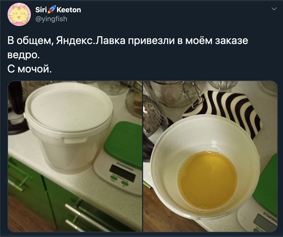 Скриншот © Twitter/Siri Keeton