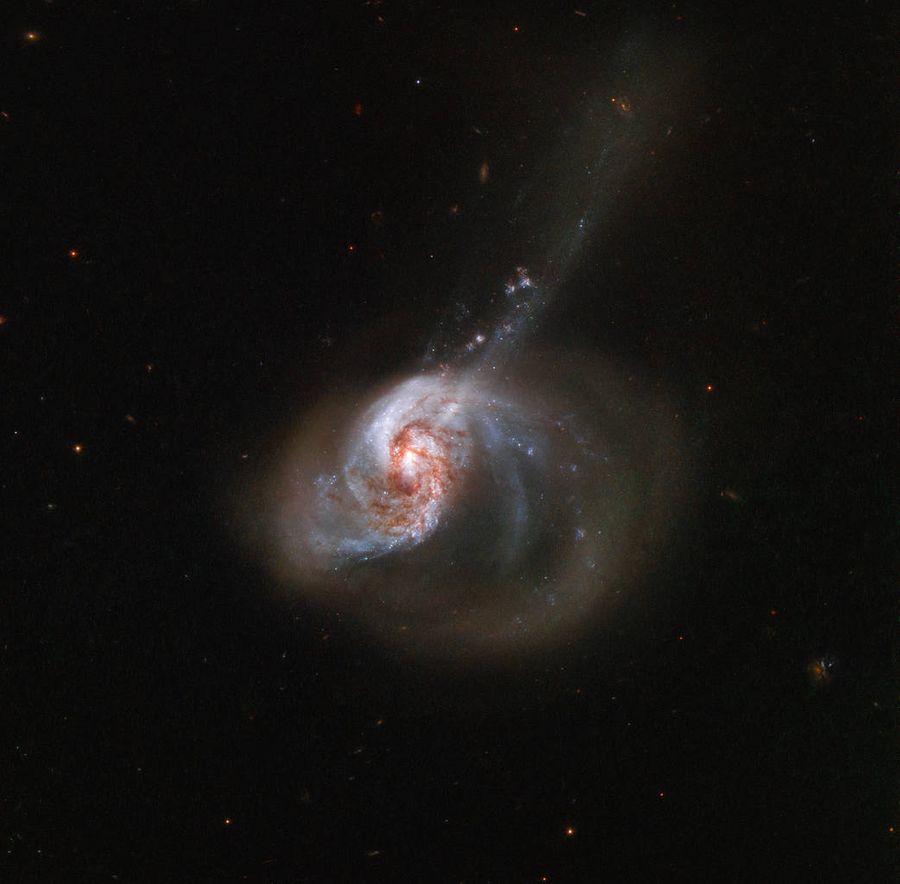 Галактика NGC 1614. Фото © NASA