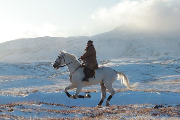 Советник президента Южной Кореи заявил, что Ким Чен Ын жив и здоров