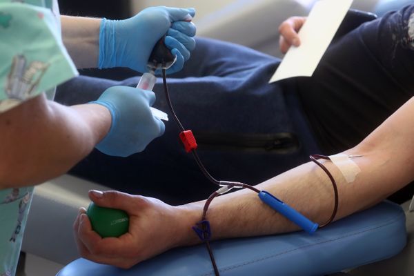 В Москве вылечившимся от коронавируса донорам плазмы оплатят такси до пункта сдачи крови