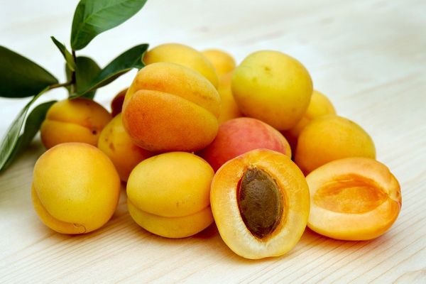 Диетолог рассказала, сколько абрикосов нужно есть в день для укрепления иммунитета