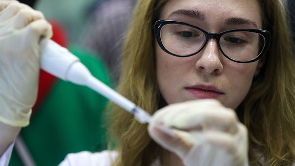 ВОЗ включила разрабатываемую МГУ вакцину от коронавируса в список перспективных