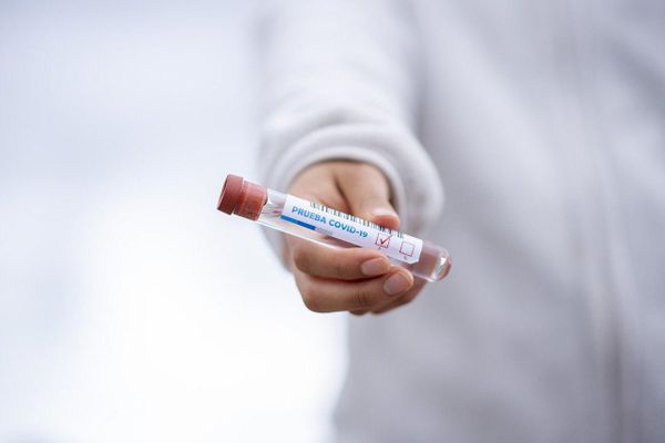 Россиянам объяснили причины ошибок в тестах на коронавирус