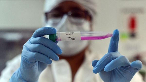 В китайской лаборатории нашли то, что убивает коронавирус