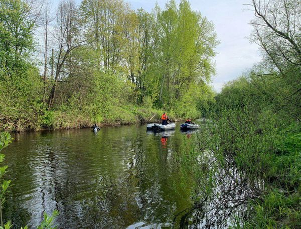 Тело пропавшей в Псковской области девочки нашли у реки 