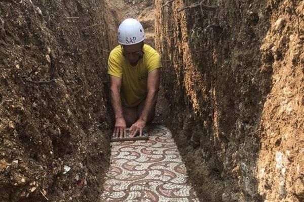 В виноградниках была обнаружена мозаика, которая сохранилась в идеальном состоянии спустя 1700 лет
