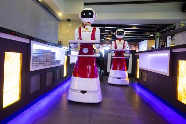В Голландии ресторан стал использовать роботов-официантов из-за пандемии коронавируса