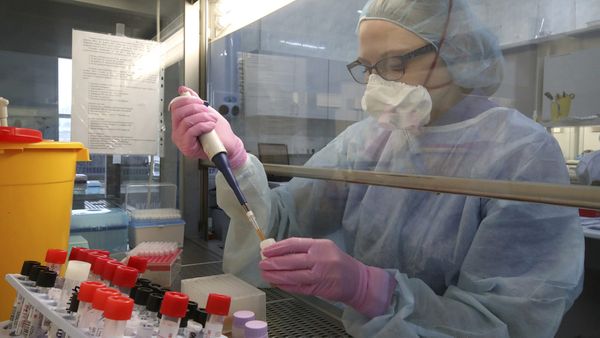 В России уже идут клинические исследования вакцин от коронавируса