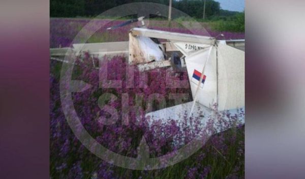 Лайф публикует фото с места крушения самолёта в Рязанской области