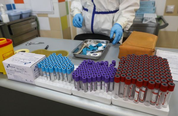 Две российские вакцины от коронавируса могут зарегистрировать уже в конце лета