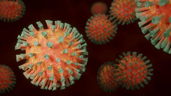 Академик не исключил появления агрессивных форм коронавируса
