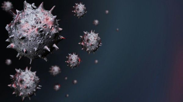 "Не боится холода". Инфекционист из Китая сообщила, что коронавирус может прожить 20 лет