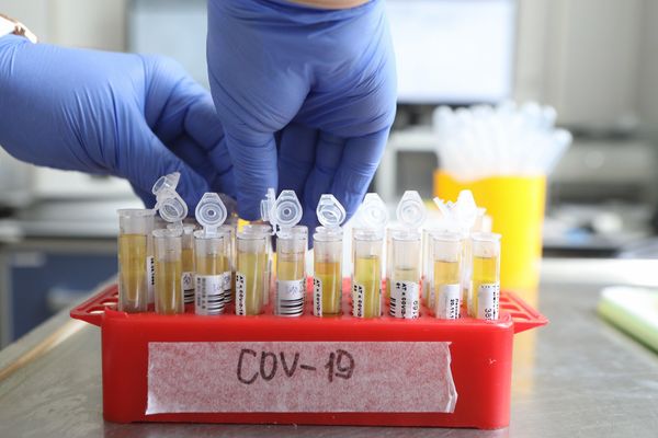 В 22 регионах России пройдёт исследование популяционного иммунитета к CoViD-19