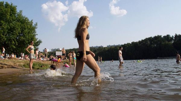 1 июля планируется открыть купальный сезон. Где и за сколько можно позагорать на пляжах в Москве и Подмосковье