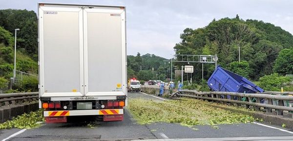 В Японии на два часа остановили движение на трассе из-за брокколи 