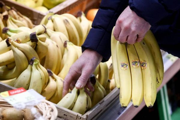 Названы продукты, с которыми опасно сочетать бананы