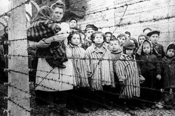 В Орловской области обнаружили колодец, в который нацисты сбрасывали детей из концлагеря