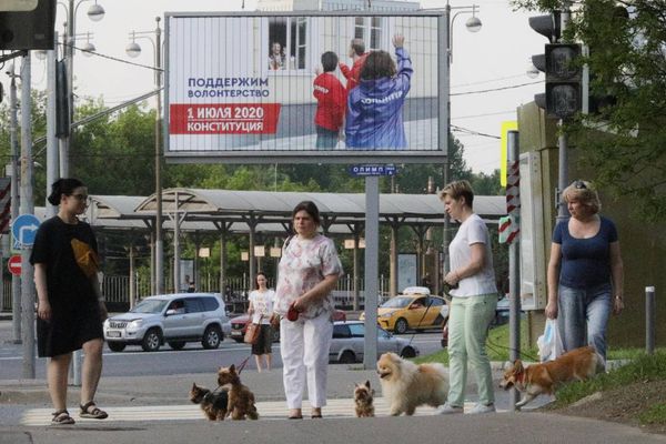 Прийти на голосование по поправкам можно с домашними питомцами. За ними присмотрят волонтёры