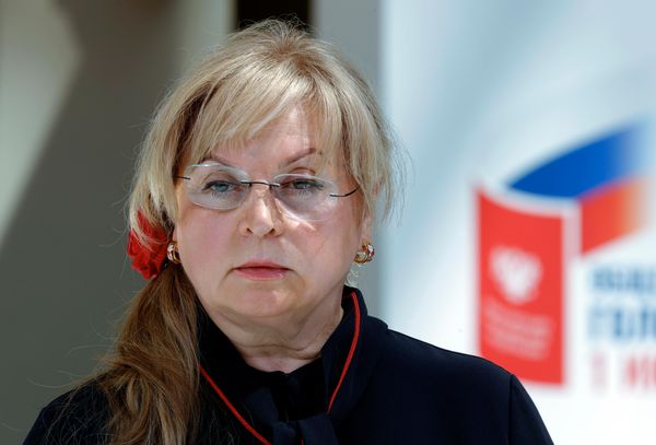 Памфилова рассказала, сколько сообщений о нарушениях поступило в ЦИК с 25 июня