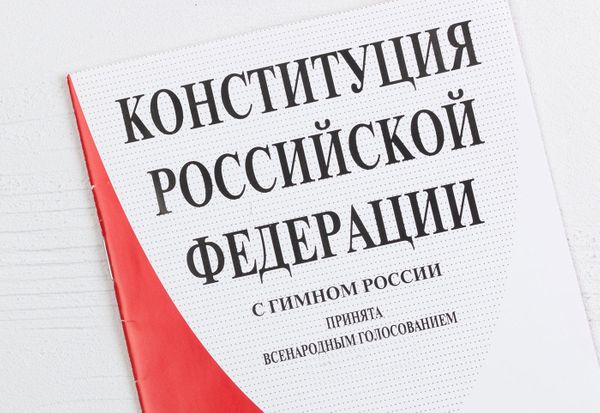 Профессор заявила о важности поправок к конституции для предотвращения искажения роли России в истории