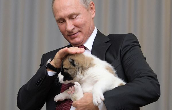 "Это нужное дело". Путин назвал востребованной норму о защите животных в конституции