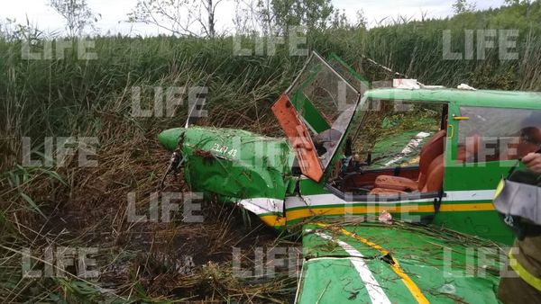 В Тверской области рухнул небольшой самолёт. Лайф публикует фото