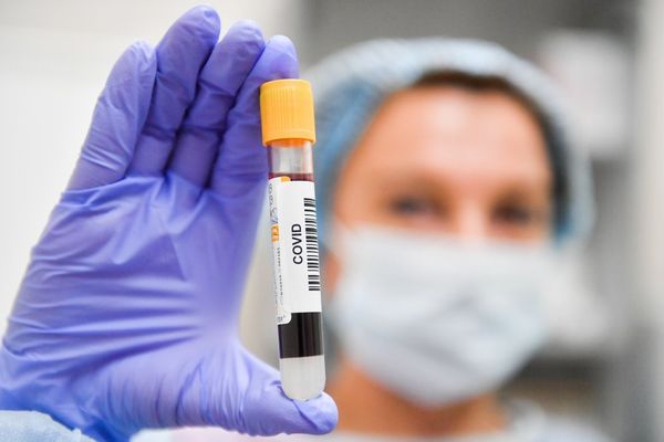 Российские учёные впервые получили антитела, нейтрализующие коронавирус